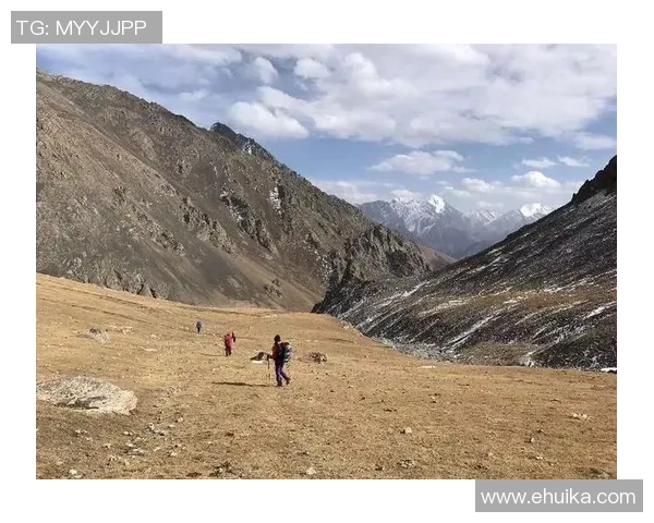 武昌江滩足球明星的崛起与发展：从草根到职业的传奇之路