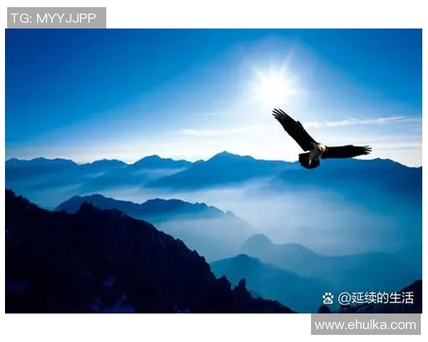 飞翔的足球巨星如同鸟儿翱翔在绿茵场上展翅高飞