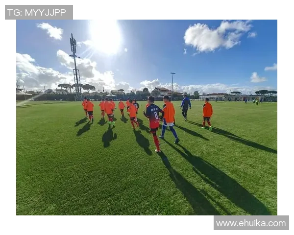 张丽独家揭秘：从球场到生活的足球智慧与心得分享